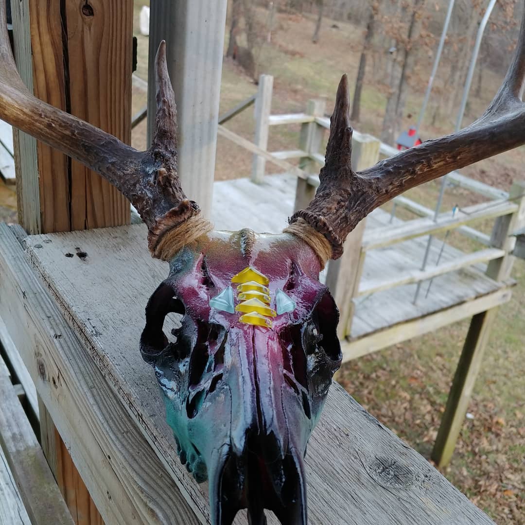painted deer skulls with spray paint
